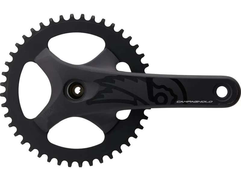 Campagnolo Ekar GT ProTech (1×13)